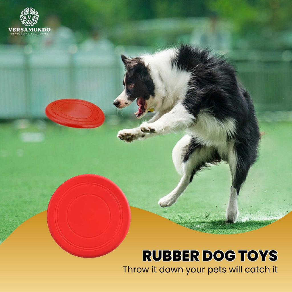 Versamundo Scratch & Play Dog Ramp Set – Nail Care Board + Chew Rope + Fetch Disc