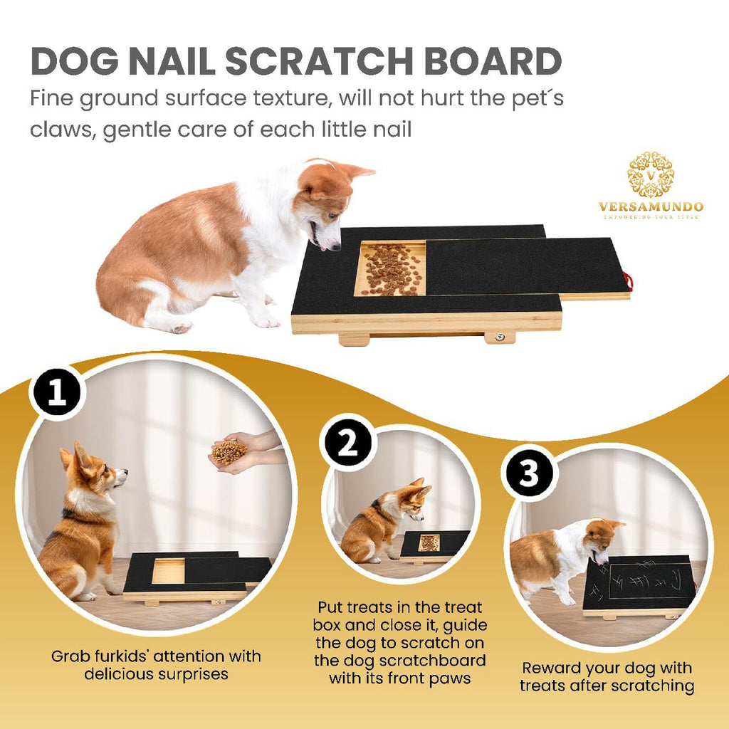 Versamundo Scratch & Play Dog Ramp Set – Nail Care Board + Chew Rope + Fetch Disc