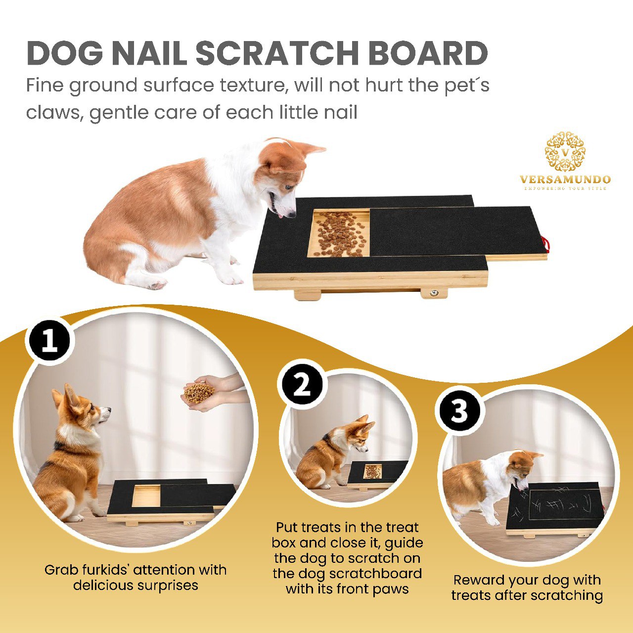 Versamundo Scratch & Play Dog Ramp Set – Nail Care Board + Chew Rope + Fetch Disc